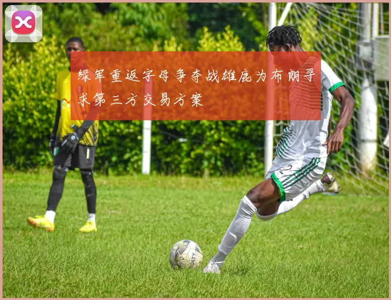 绿军重返字母争夺战雄鹿为布朗寻求第三方交易方案
