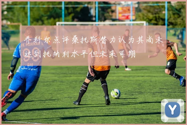 乔科尔点评桑托斯潜力认为其尚未达到托纳利水平但未来可期